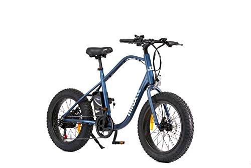 Nilox, E-Bike J3, Bicicleta eléctrica con pedaleo asistido