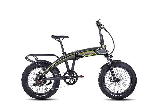 SachsenRAD Bicicleta Eléctrica Plegable F6 Safari, 20" Bicicleta Eléctrica con Batería de Litio 36V 10,4 Ah Extraíble,Motor Central 85 NM
